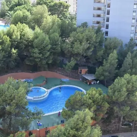 Piso בנידורם